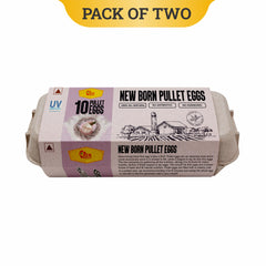 2 Pack of 10 Pack of Pullet Eggs